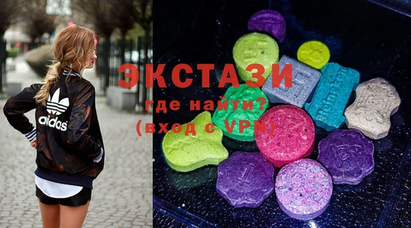 мдпв Краснослободск