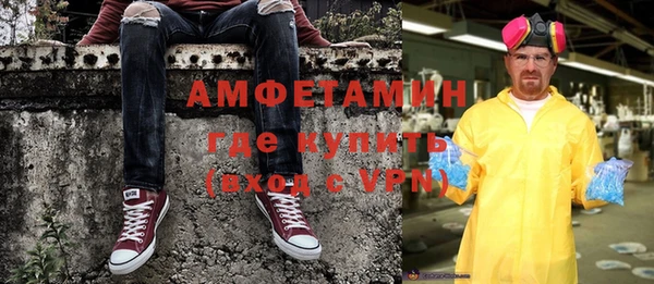 мдпв Краснослободск