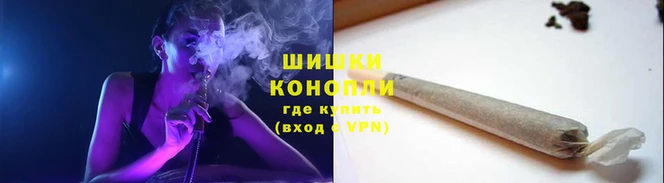 мдпв Краснослободск