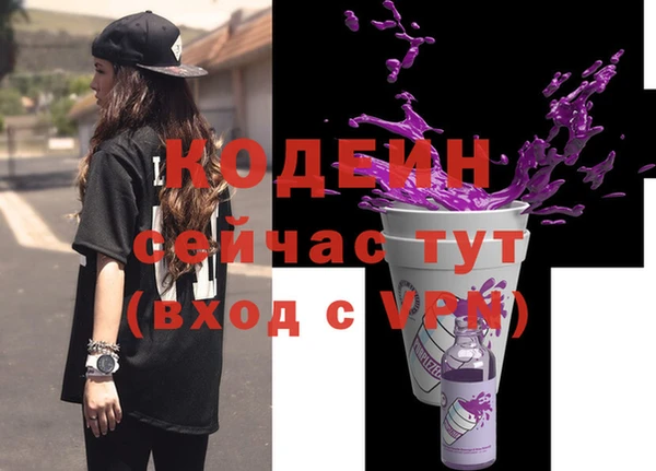 мдпв Краснослободск