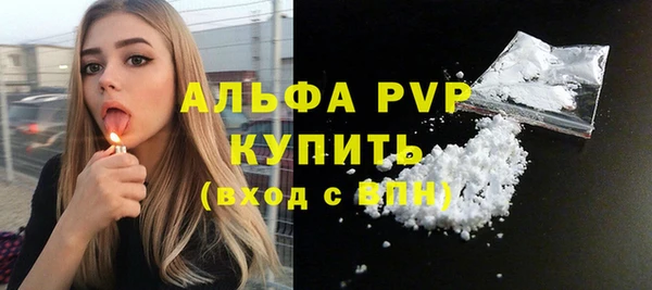 мдпв Краснослободск