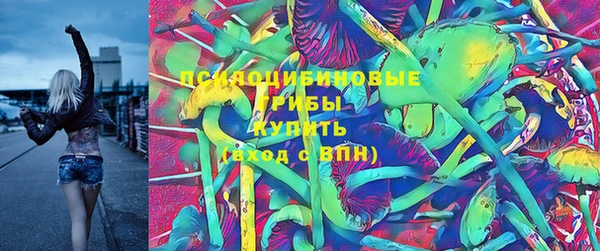 не бодяженный Краснотурьинск